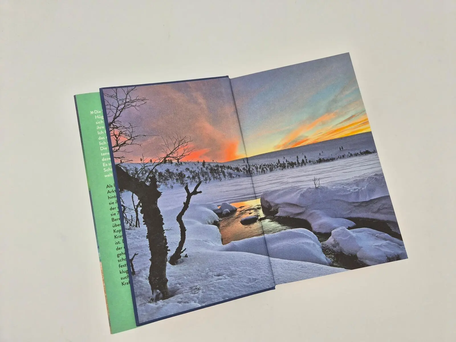 Bild: 9783890296142 | Polarherz | Ingvild Holtan-Hartwig | Buch | 240 S. | Deutsch | 2026
