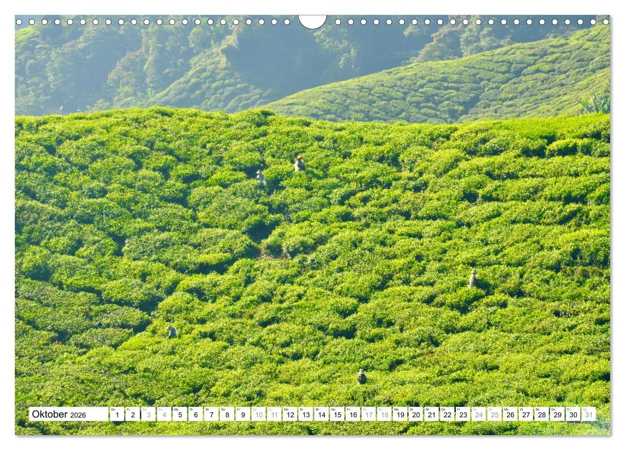 Bild: 9783457586242 | Weltreise, in zwölf Fotografien einmal um die Welt (Wandkalender...