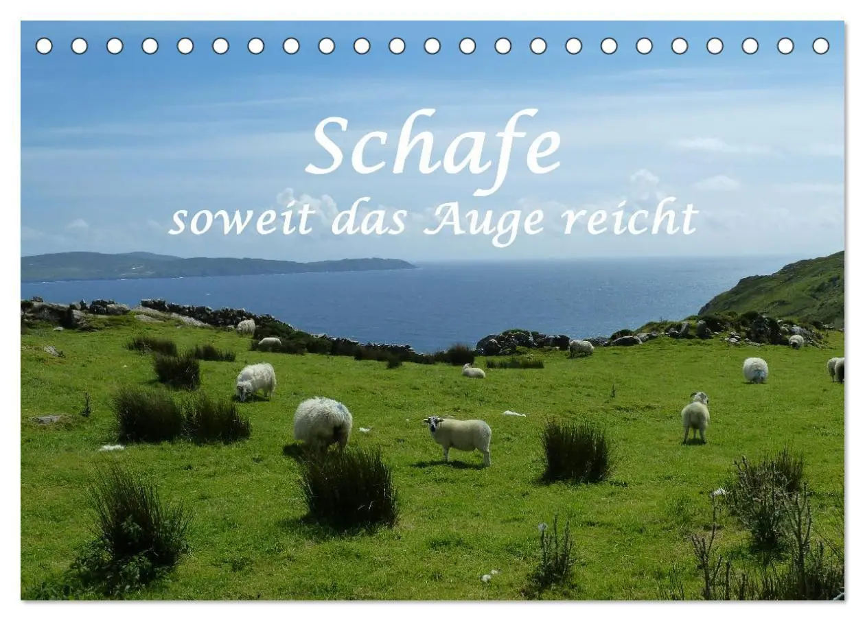 Cover: 9783516056242 | Schafe - soweit das Auge reicht (Tischkalender 2026 DIN A5 quer),...