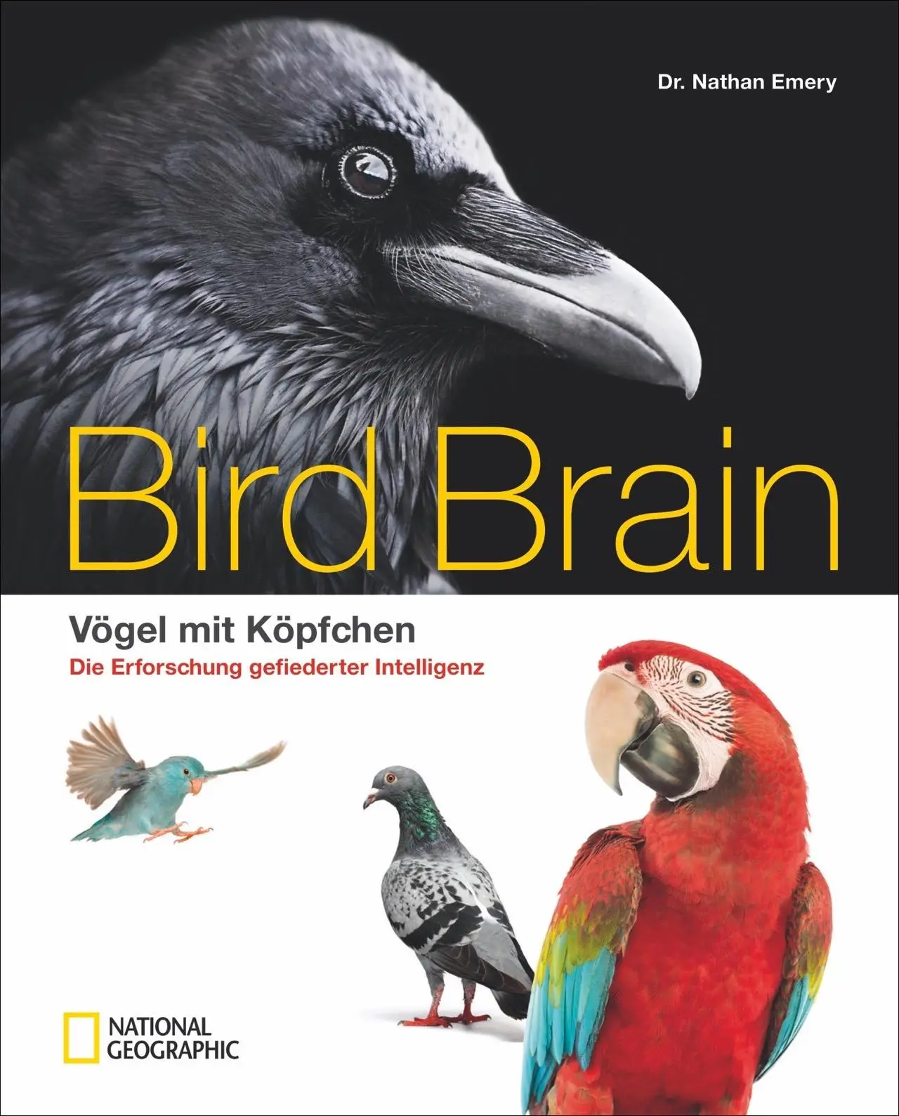 Cover: 9783866906242 | Bird Brain | Nathan Emery | Buch | 192 S. | Deutsch | 2017