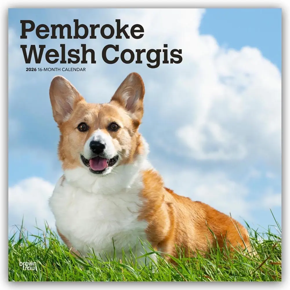 Cover: 9798330706242 | Pembroke Welsh Corgis 2026 12 X 24 Inch (Hanging) Monthly Square...