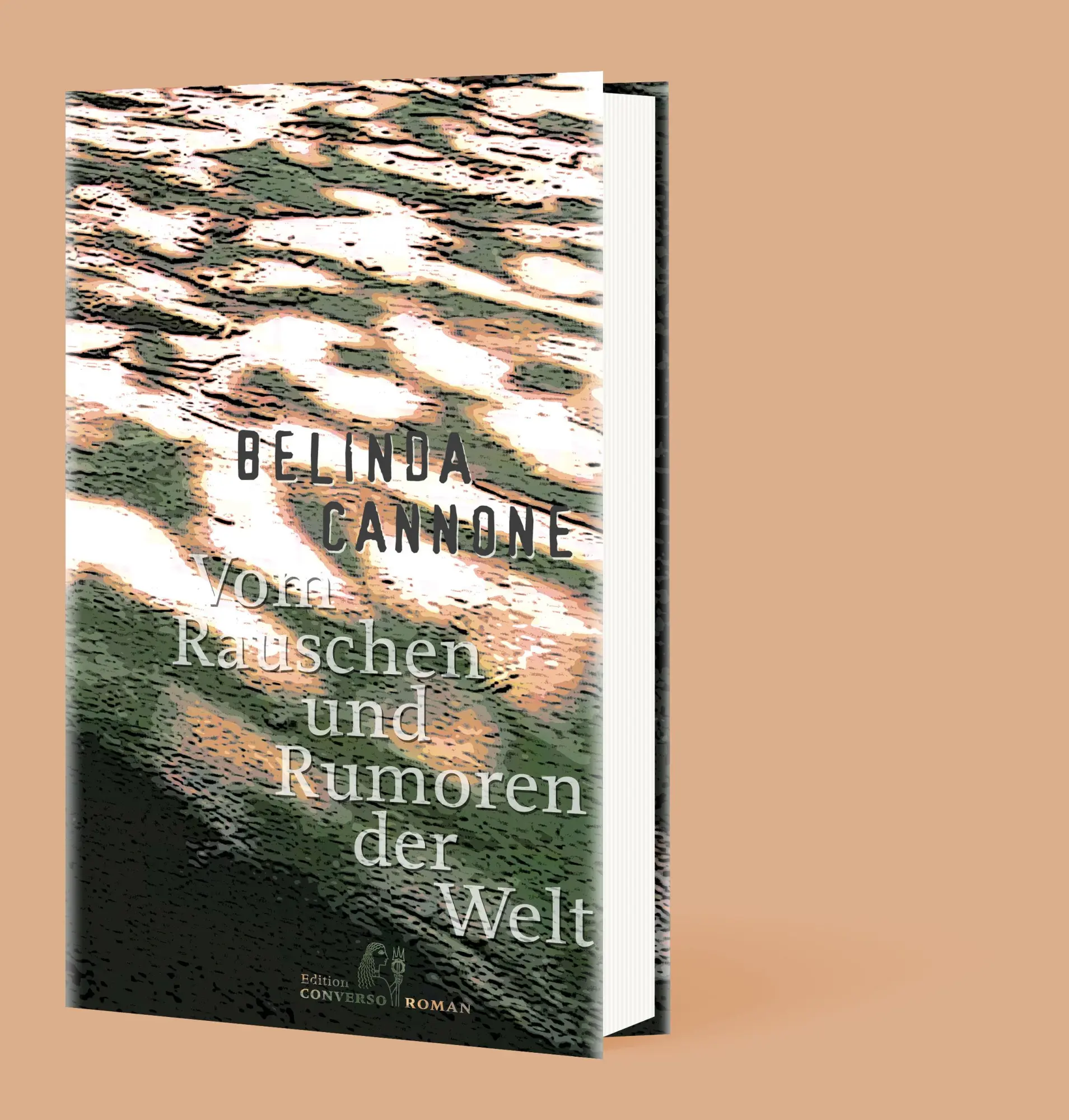 Cover: 9783981976342 | Vom Rauschen und Rumoren der Welt | Belinda Cannone | Buch | 256 S.