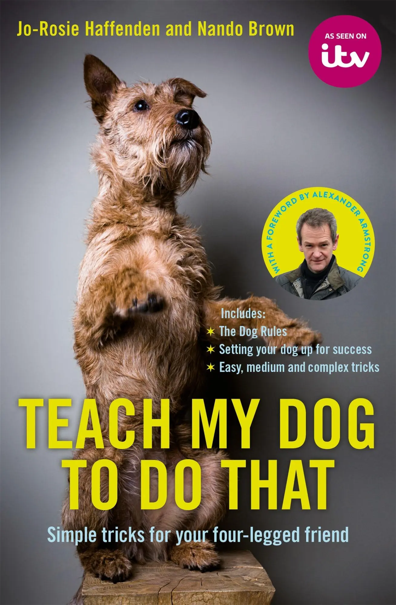 Cover: 9780752266442 | Teach My Dog To Do That | Jo-Rosie Haffenden (u. a.) | Buch | Gebunden