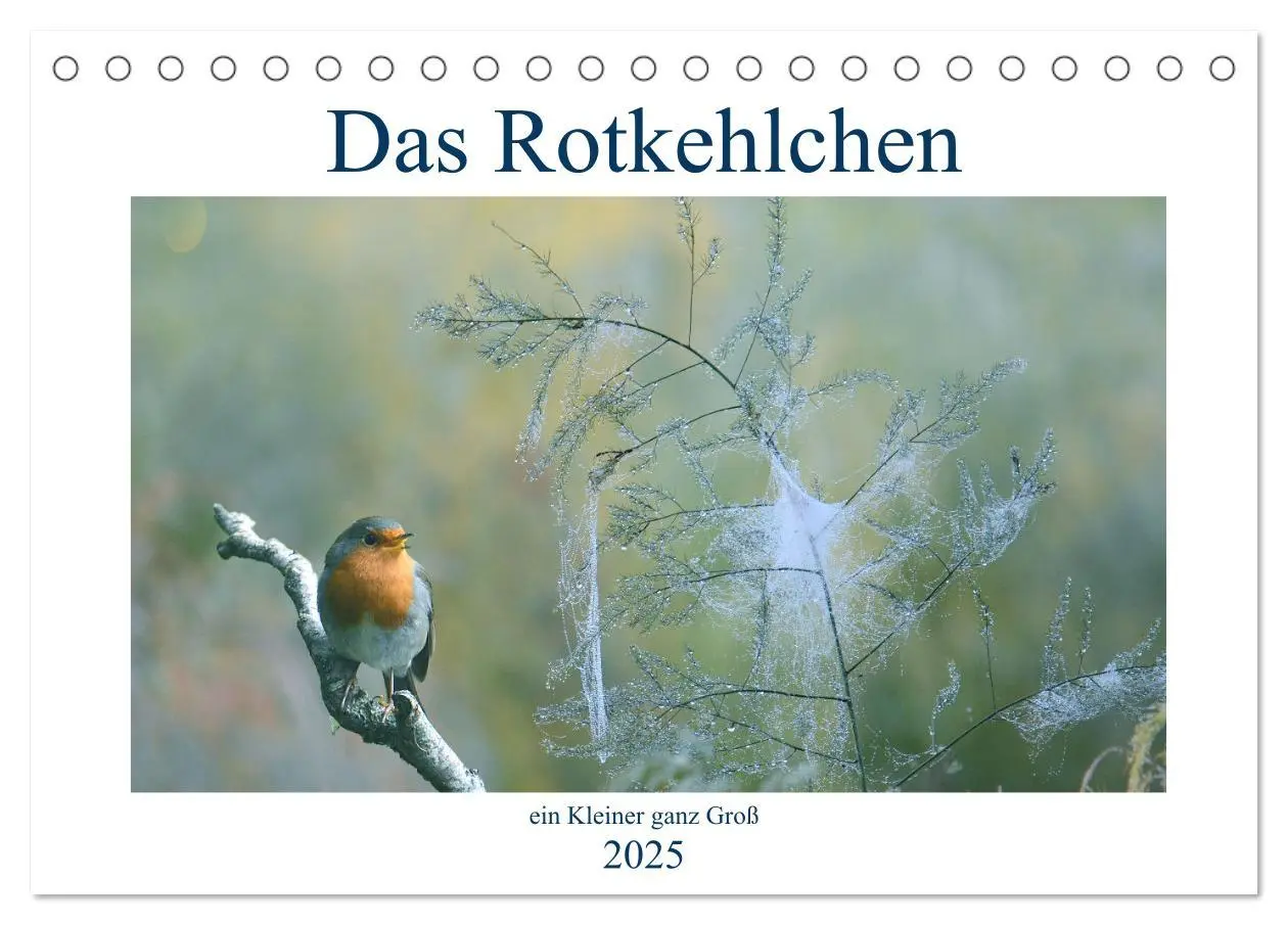 Cover: 9783435166442 | Das Rotkehlchen, ein Kleiner ganz Groß (Tischkalender 2025 DIN A5...
