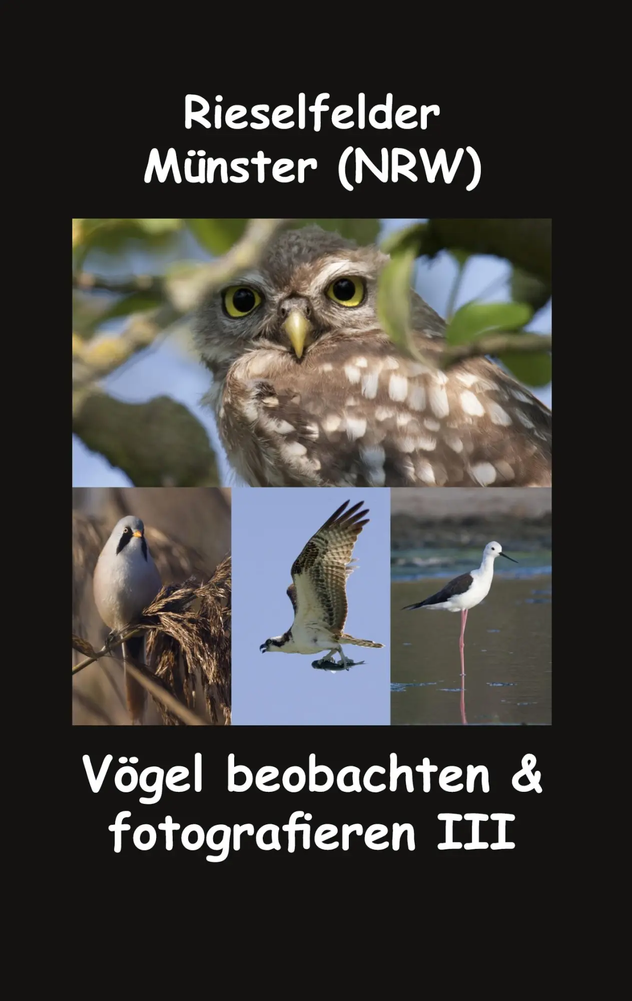 Cover: 9783751976442 | Rieselfelder - Münster (NRW) | Vögel beobachten &amp; fotografieren III