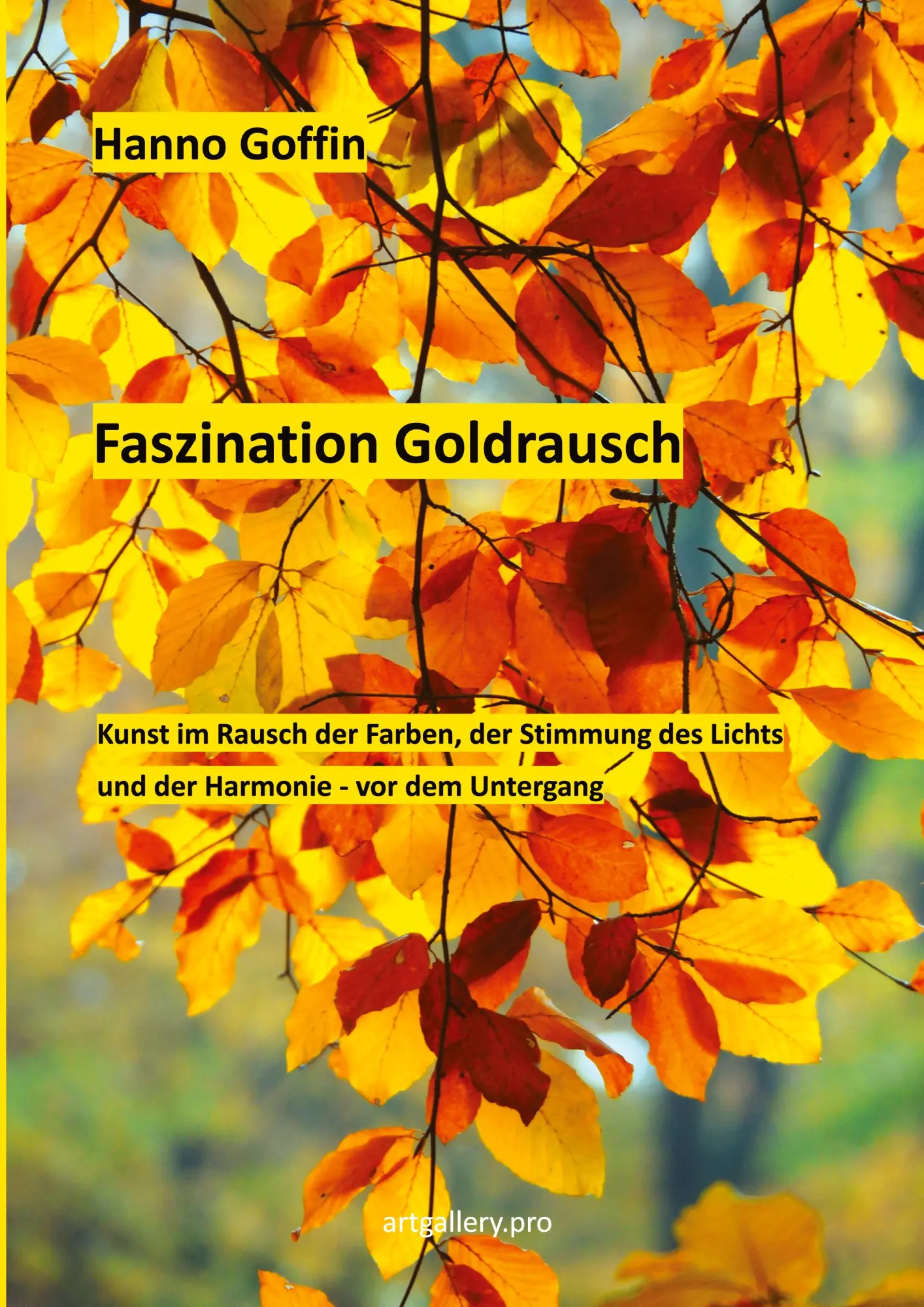Cover: 9783756856442 | Faszination Goldrausch | Hanno Goffin | Taschenbuch | 48 S. | Deutsch