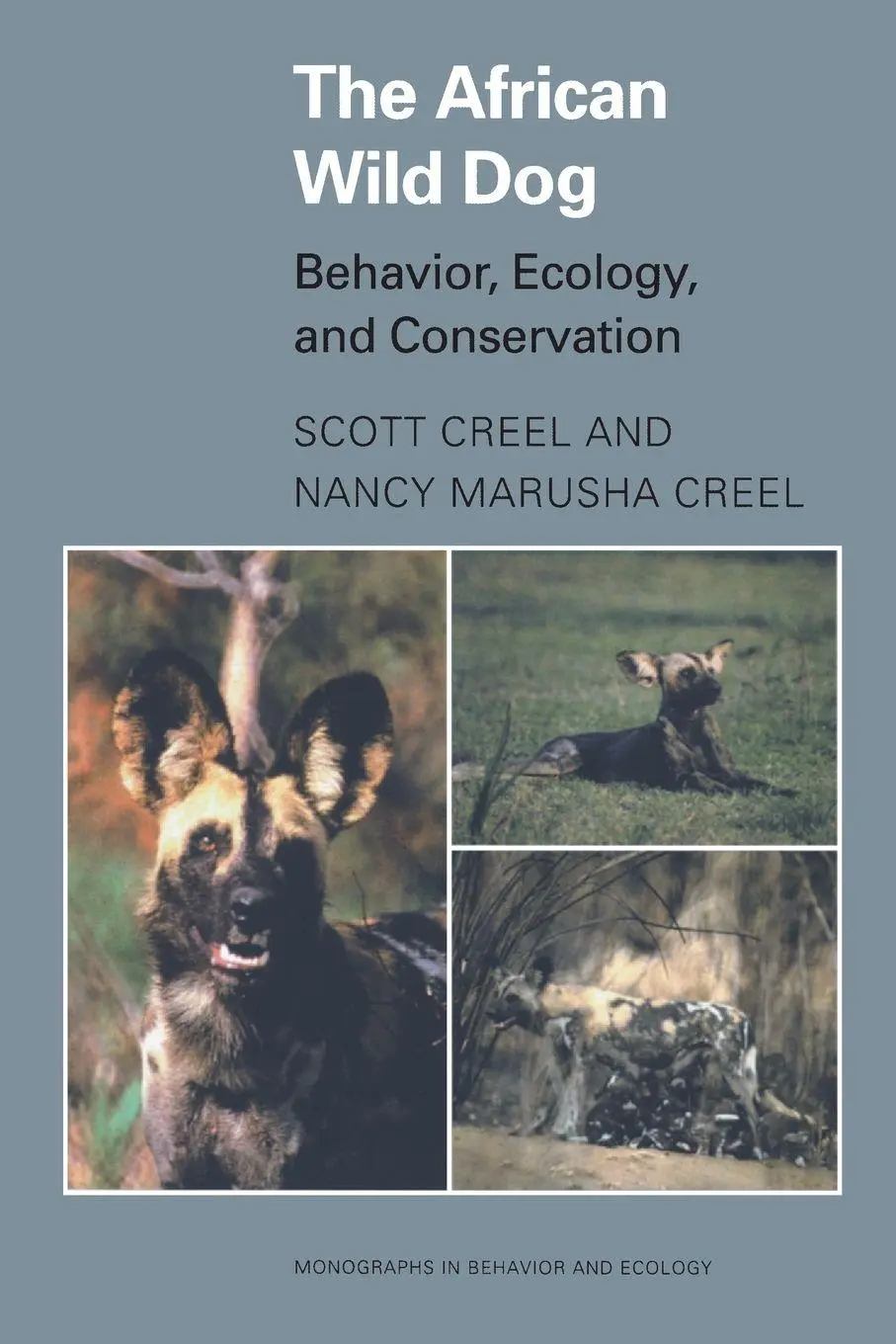 Cover: 9780691016542 | The African Wild Dog | Behavior, Ecology, and Conservation | Buch