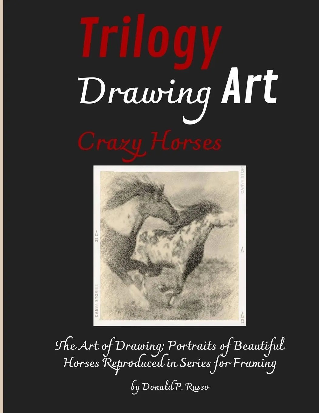 Cover: 9781804316542 | Trilogy Drawing Art Crazy Horses | Donald P. Russo | Taschenbuch