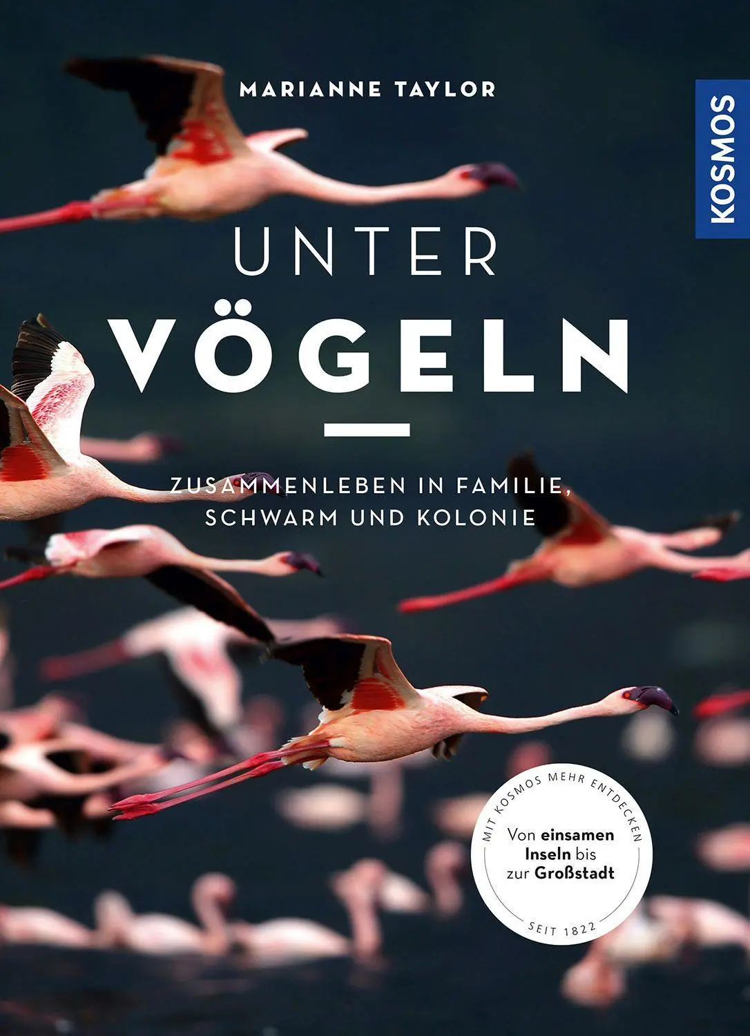 Cover: 9783440176542 | Unter Vögeln | Marianne Taylor | Buch | 224 S. | Deutsch | 2023