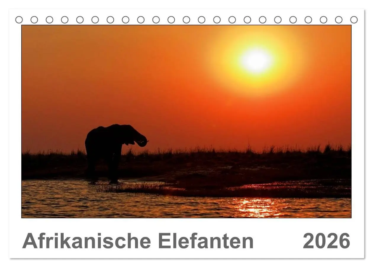 Cover: 9783516196542 | Afrikanische Elefanten (Tischkalender 2026 DIN A5 quer), CALVENDO...
