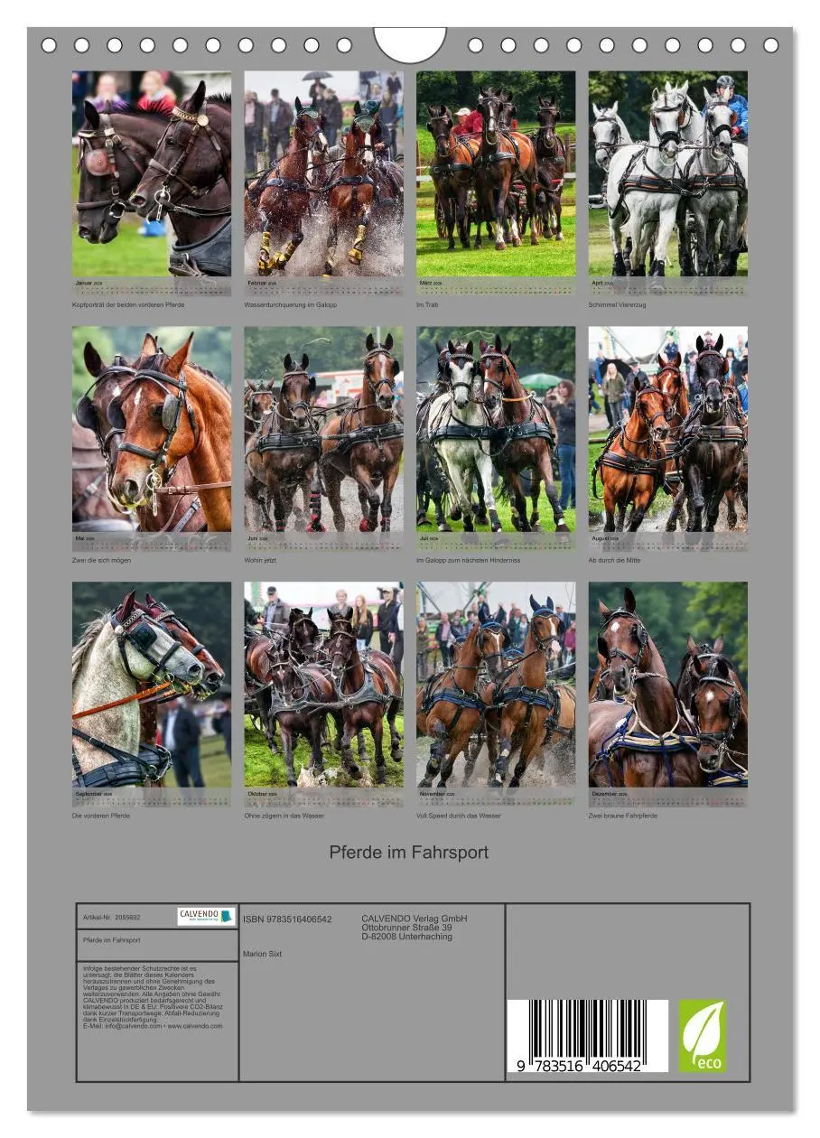 Bild: 9783516406542 | Pferde im Fahrsport (Wandkalender 2026 DIN A4 hoch), CALVENDO...