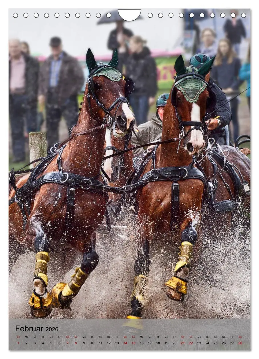 Bild: 9783516406542 | Pferde im Fahrsport (Wandkalender 2026 DIN A4 hoch), CALVENDO...