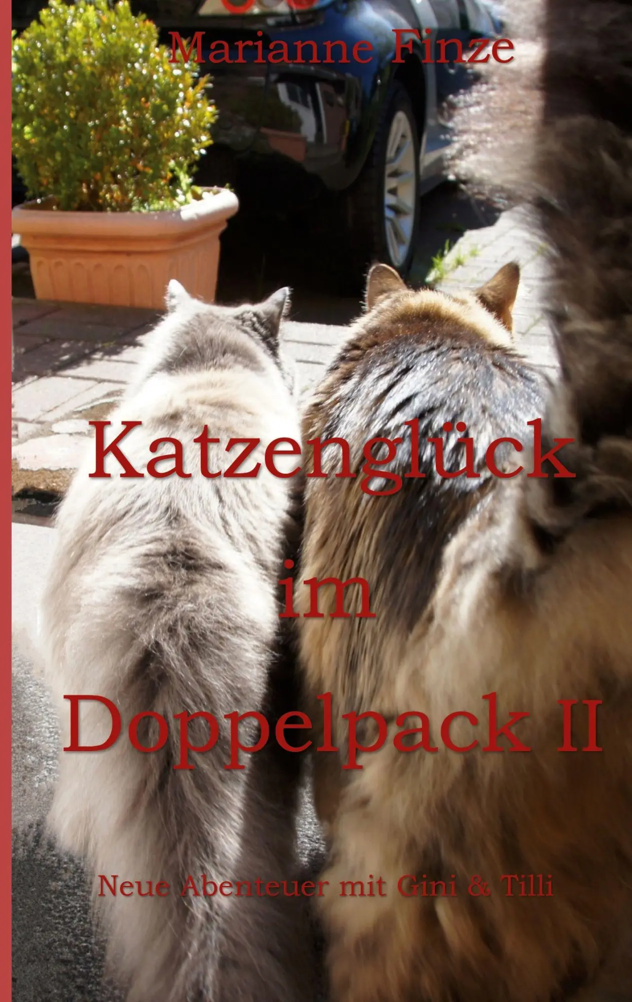 Cover: 9783696386542 | Katzenglück im Doppelpack II | Marianne Finze | Taschenbuch | 228 S.