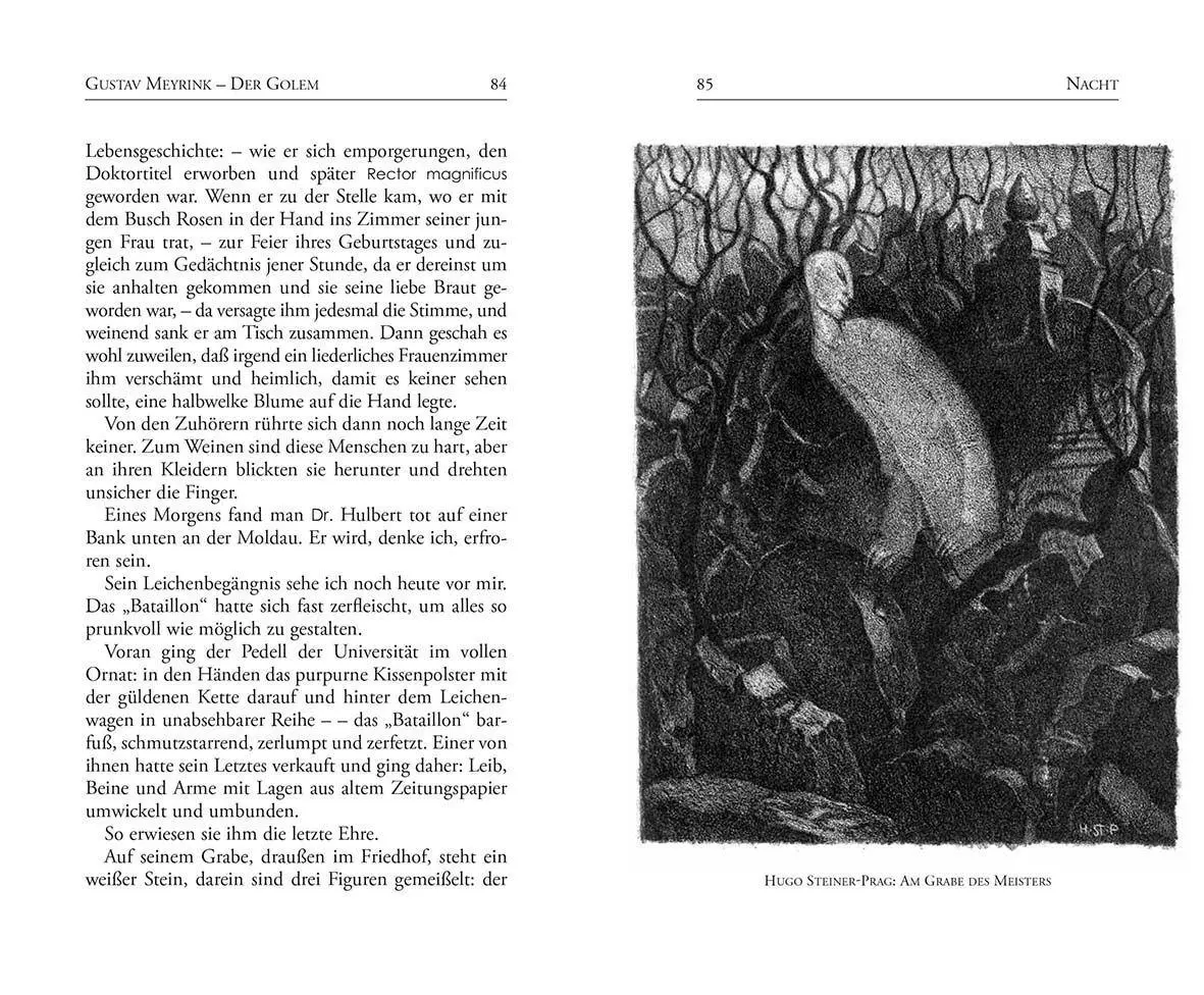 Bild: 9783899196542 | Der Golem | Gustav Meyrink | Taschenbuch | Bibliotheca bohemica | 2026