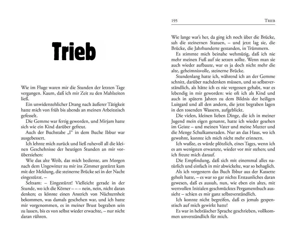 Bild: 9783899196542 | Der Golem | Gustav Meyrink | Taschenbuch | Bibliotheca bohemica | 2026