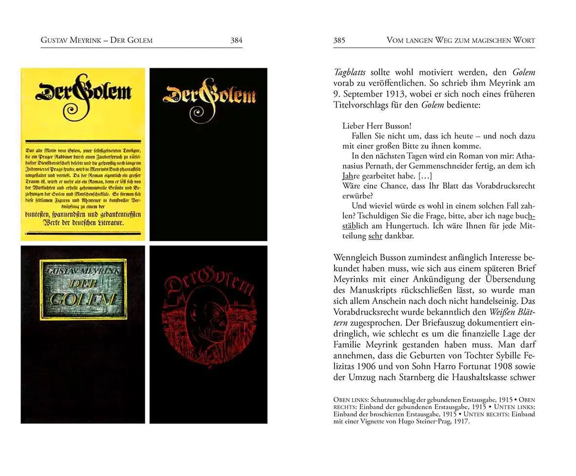 Bild: 9783899196542 | Der Golem | Gustav Meyrink | Taschenbuch | Bibliotheca bohemica | 2026
