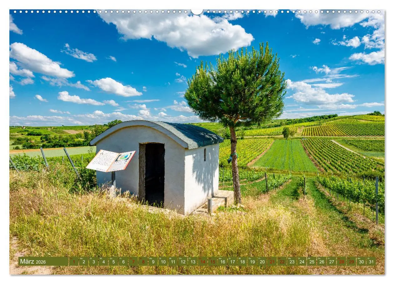 Bild: 9783457546642 | Weinberg-Architektur in Rheinhessen (Wandkalender 2026 DIN A2...