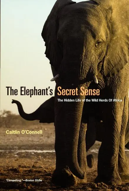 Cover: 9780226616742 | The Elephant's Secret Sense | Caitlin O'Connell | Taschenbuch | 2008
