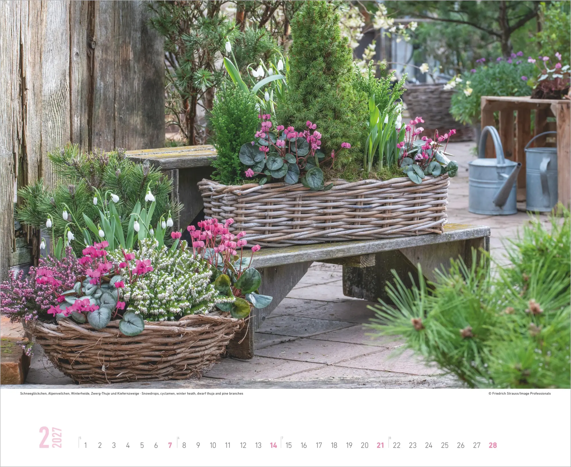Bild: 4069095016842 | Blumenpracht 2027 | Neumann Verlage GmbH &amp; Co KG | Kalender | 14 S.