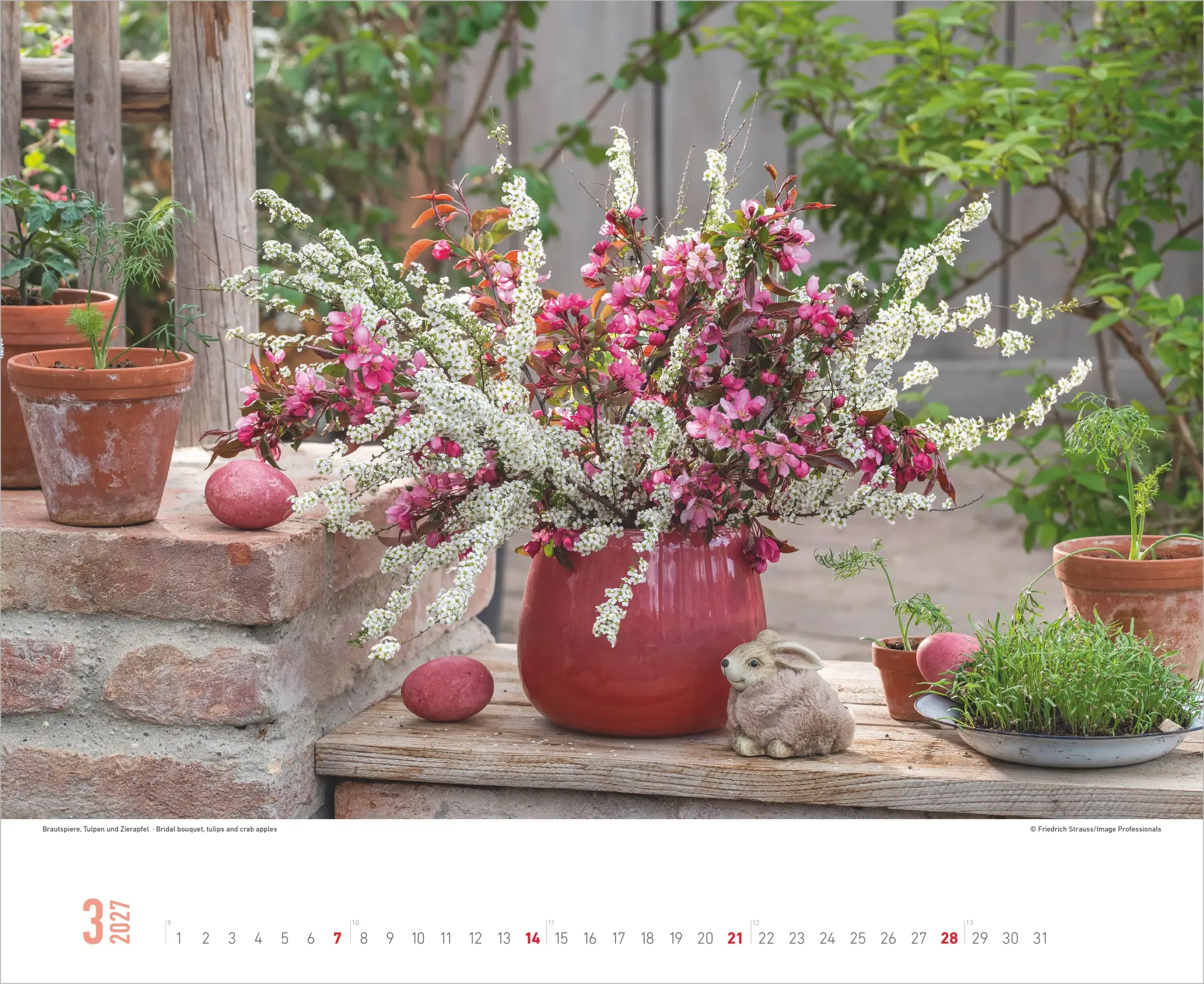 Bild: 4069095016842 | Blumenpracht 2027 | Neumann Verlage GmbH &amp; Co KG | Kalender | 14 S.