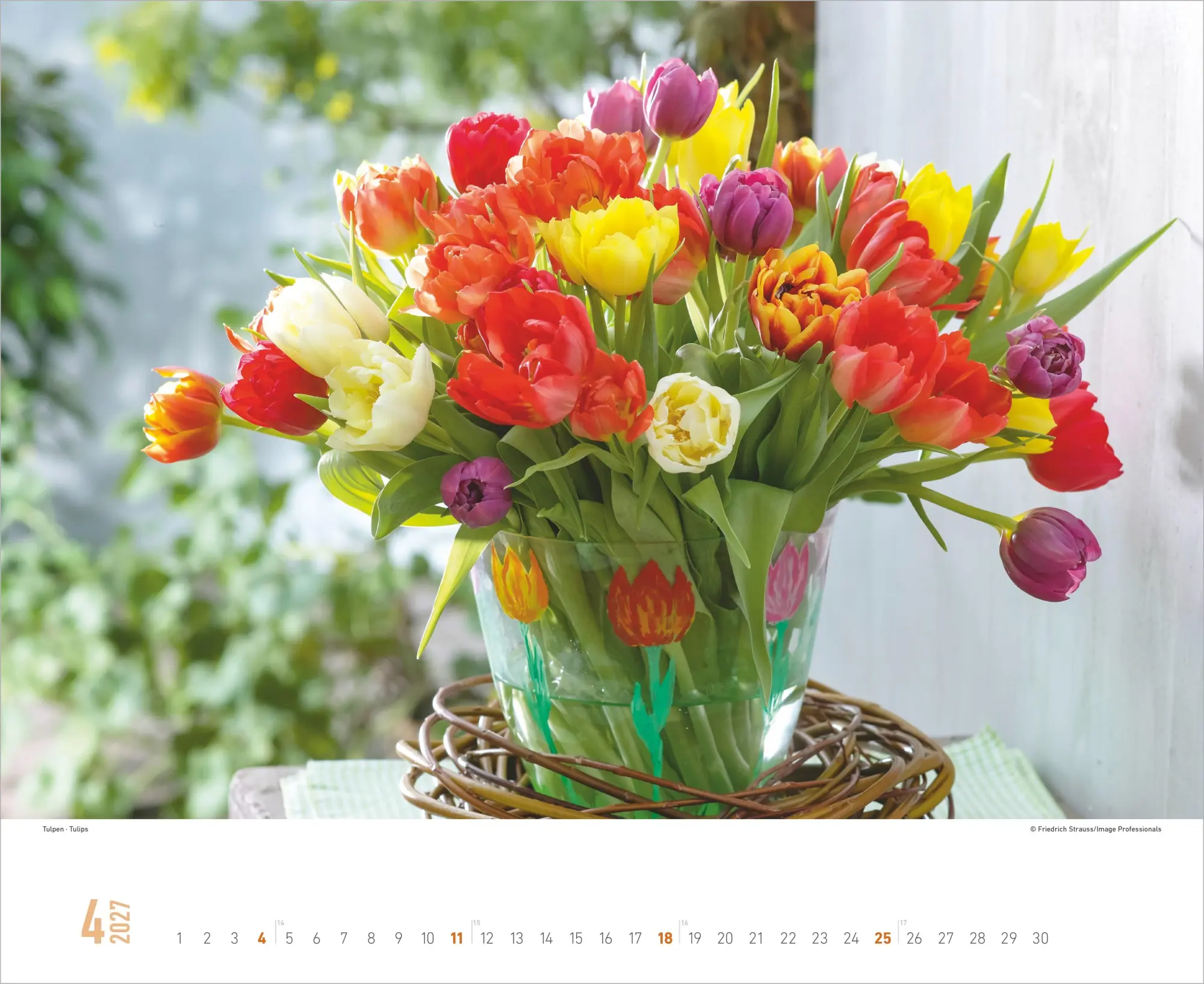 Bild: 4069095016842 | Blumenpracht 2027 | Neumann Verlage GmbH &amp; Co KG | Kalender | 14 S.