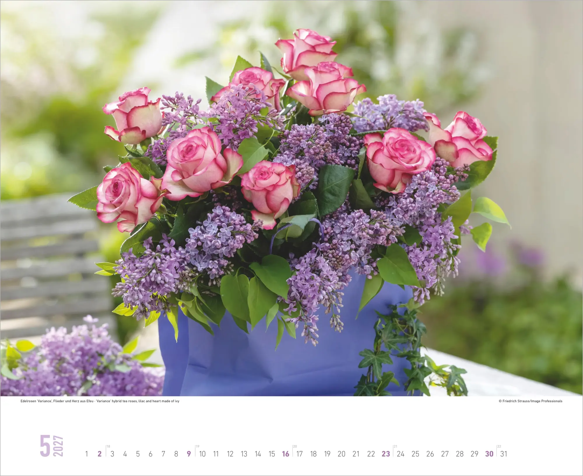 Bild: 4069095016842 | Blumenpracht 2027 | Neumann Verlage GmbH &amp; Co KG | Kalender | 14 S.
