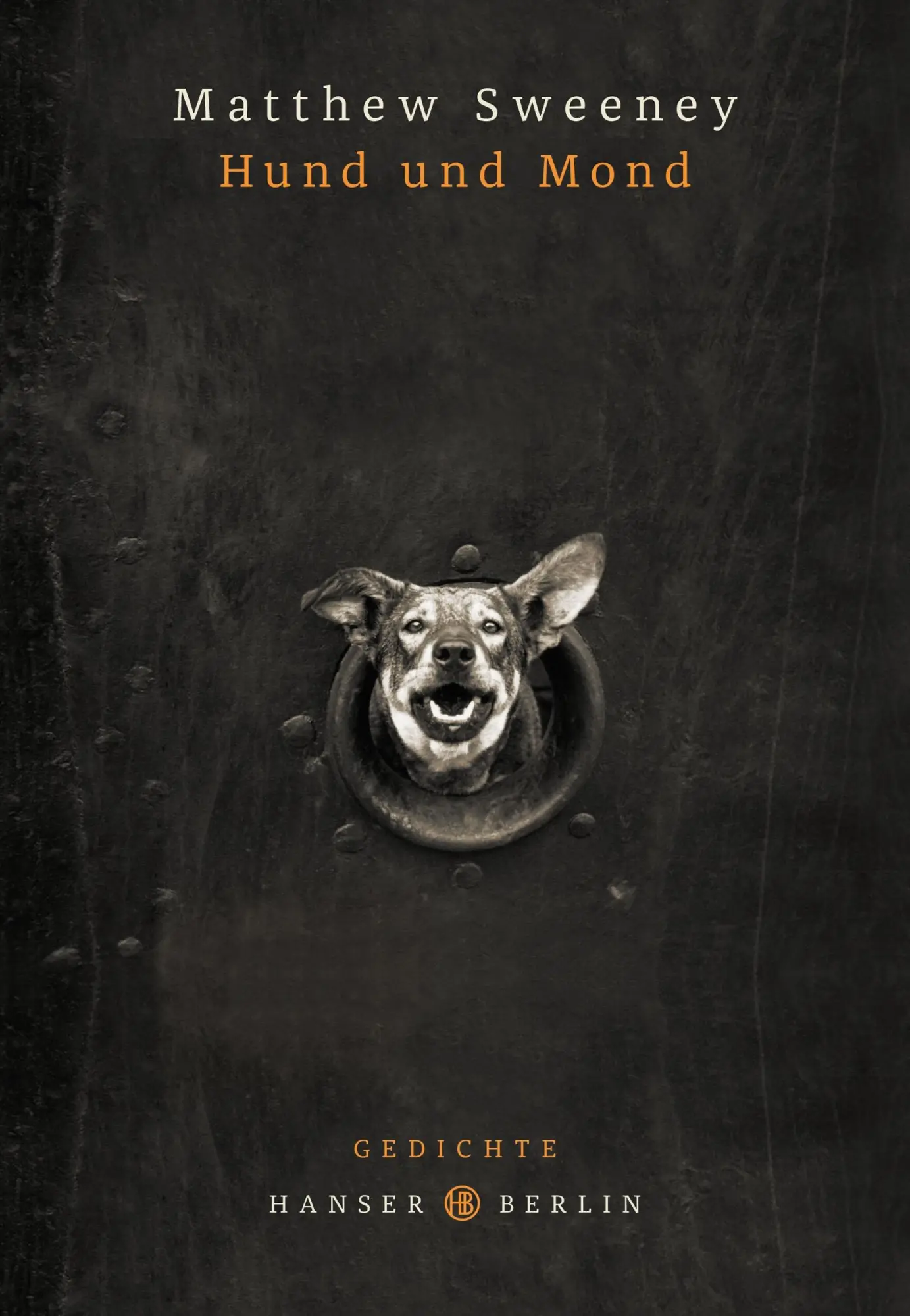 Cover: 9783446256842 | Hund und Mond | Gedichte | Matthew Sweeney | Buch | 144 S. | Deutsch