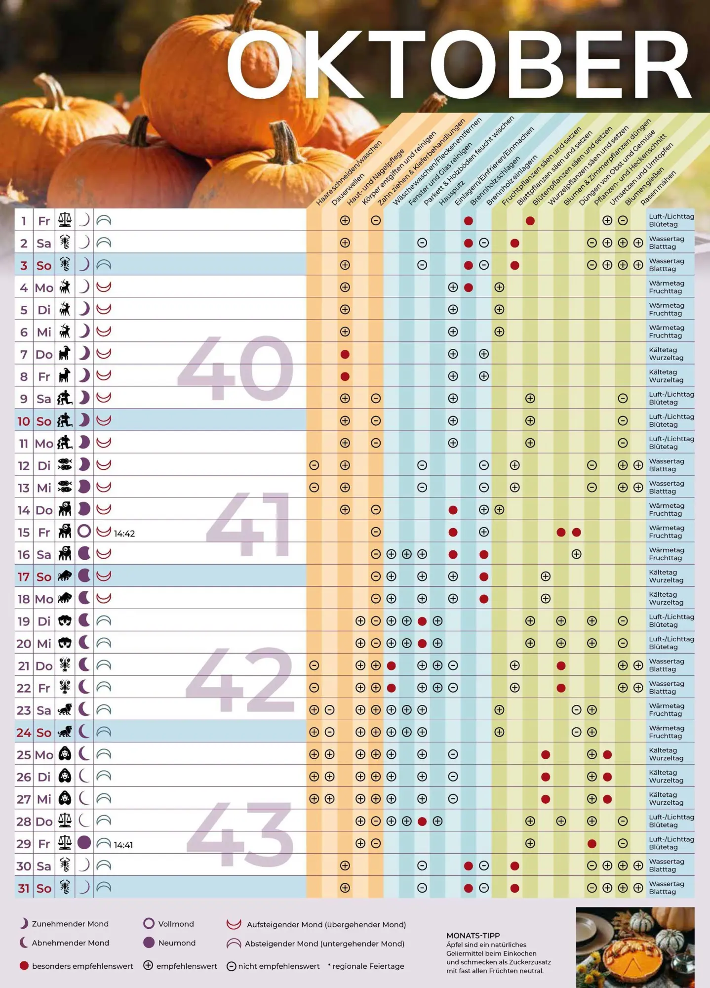 Bild: 9783982606842 | Mondkalender 2027 | Die Kraft des Mondes im Alltag nutzen | Bunz