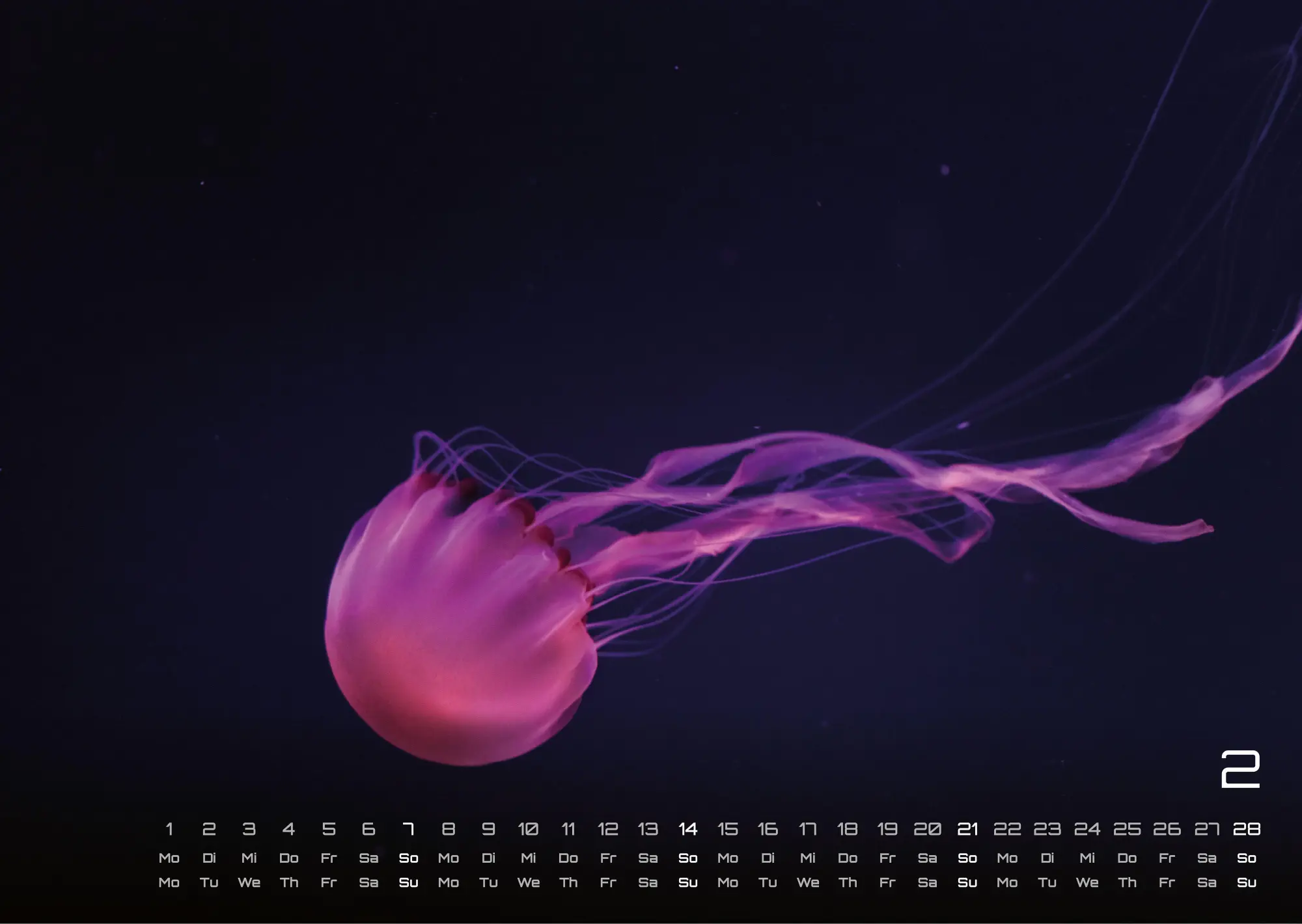 Bild: 9783986736842 | Sealife - verborgene Tiefen - 2027 - Kalender DIN A3 | GP-Fever. de