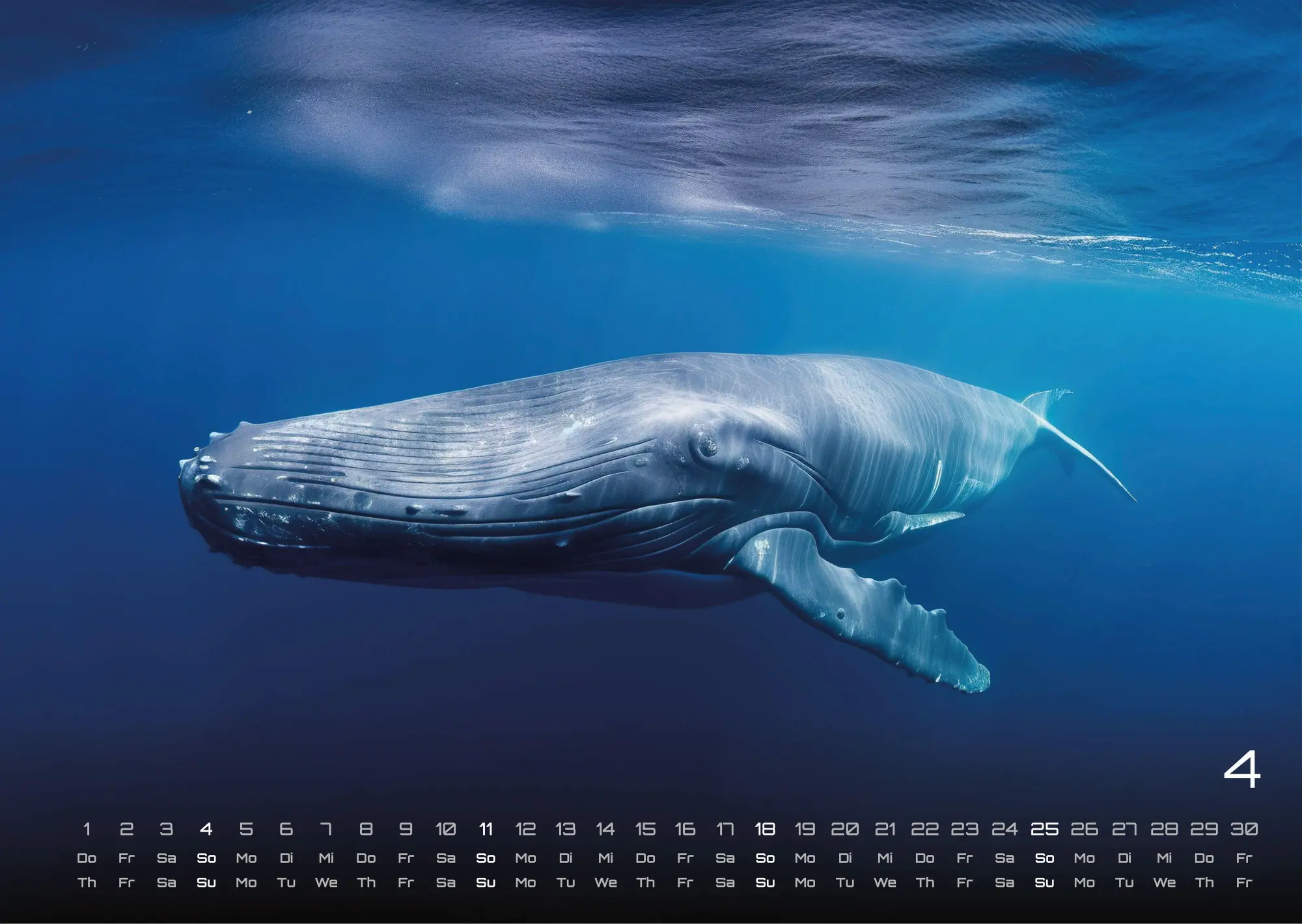 Bild: 9783986736842 | Sealife - verborgene Tiefen - 2027 - Kalender DIN A3 | GP-Fever. de