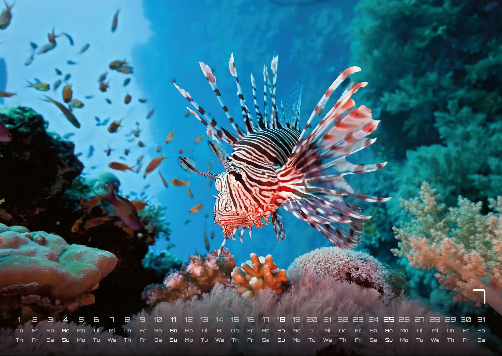 Bild: 9783986736842 | Sealife - verborgene Tiefen - 2027 - Kalender DIN A3 | GP-Fever. de