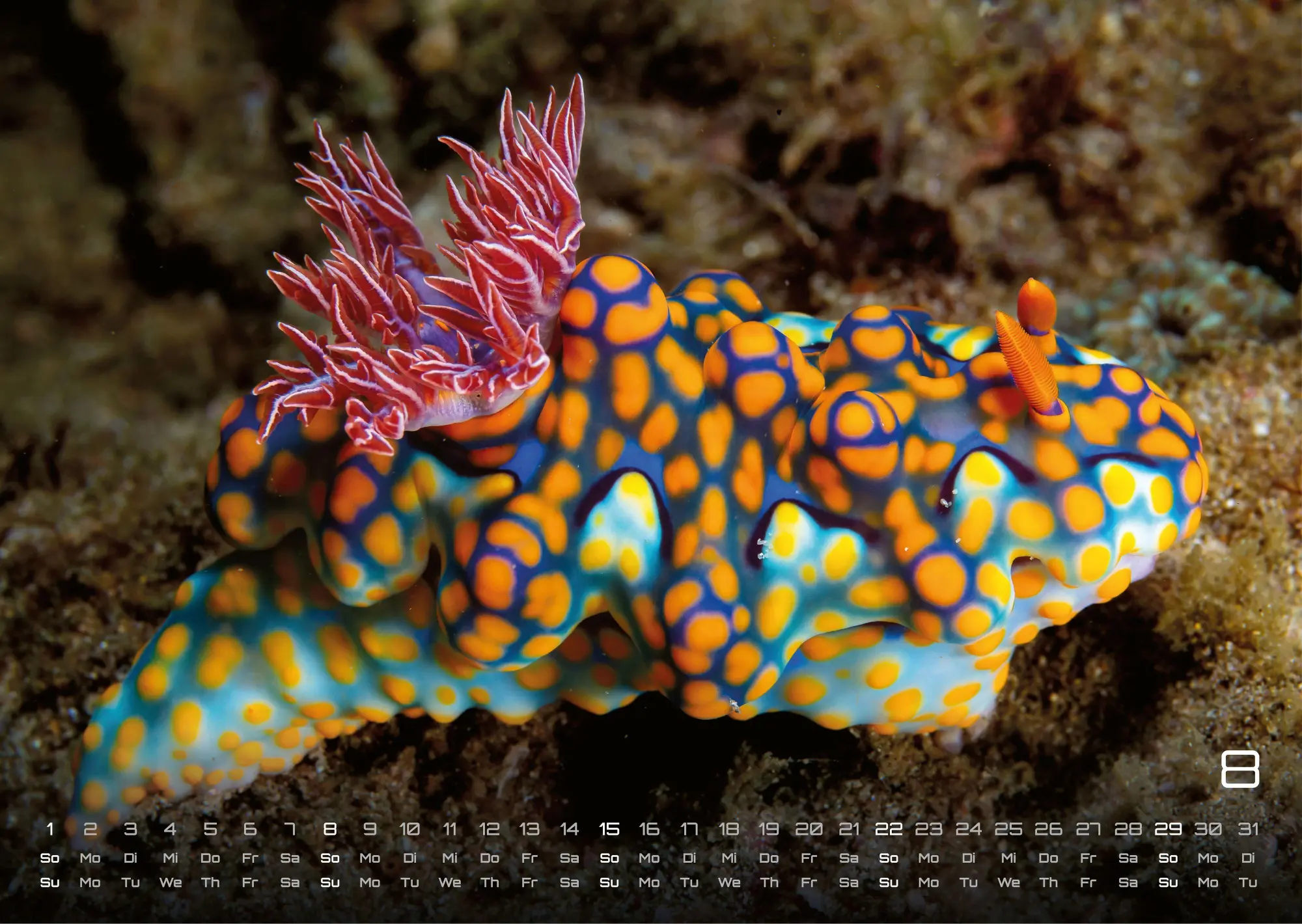 Bild: 9783986736842 | Sealife - verborgene Tiefen - 2027 - Kalender DIN A3 | GP-Fever. de