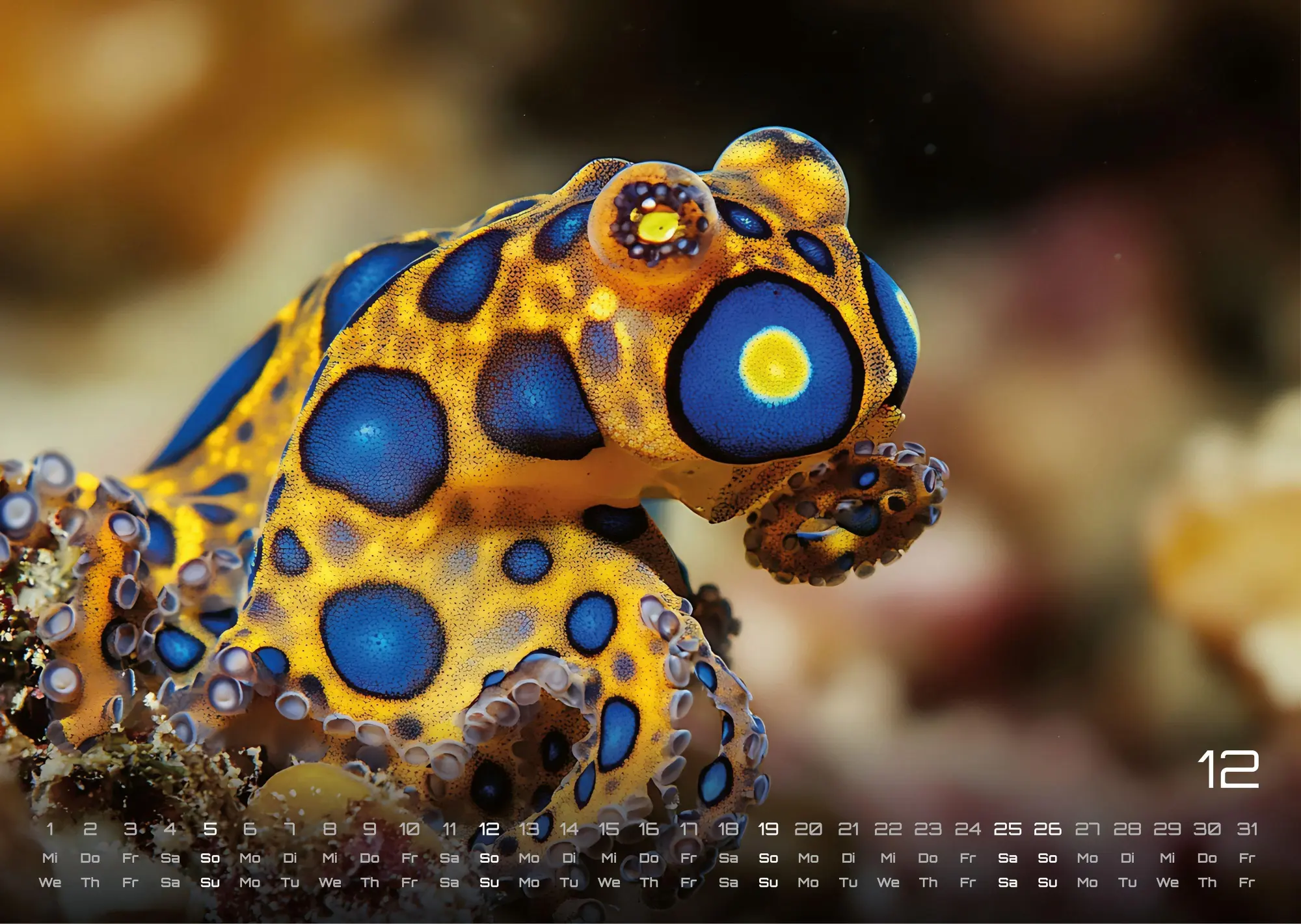 Bild: 9783986736842 | Sealife - verborgene Tiefen - 2027 - Kalender DIN A3 | GP-Fever. de