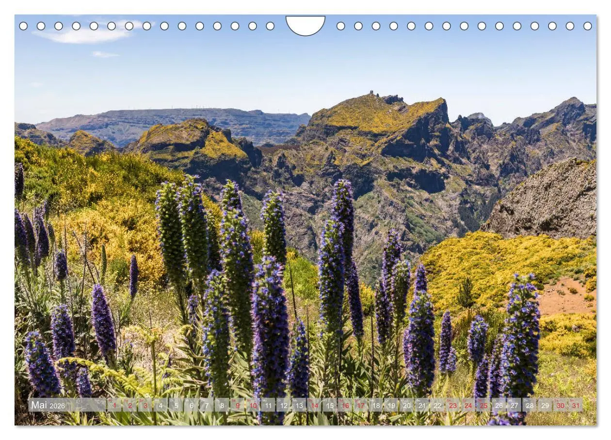 Bild: 9783457686942 | MADEIRA Grüne Oase im Atlantik (Wandkalender 2026 DIN A4 quer),...