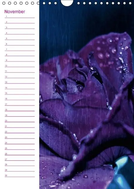 Bild: 9783660396942 | Blütenträume Geburtstagskalender (Wandkalender immerwährend DIN A4...