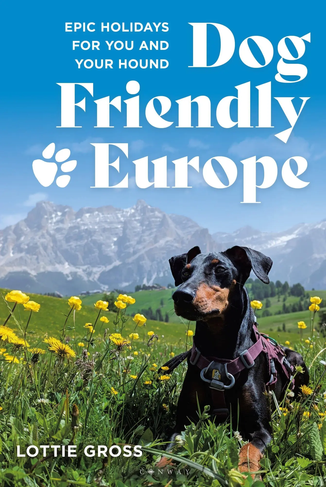 Cover: 9781844867042 | Dog-Friendly Europe | Epic Holidays for You and Your Hound | Gross