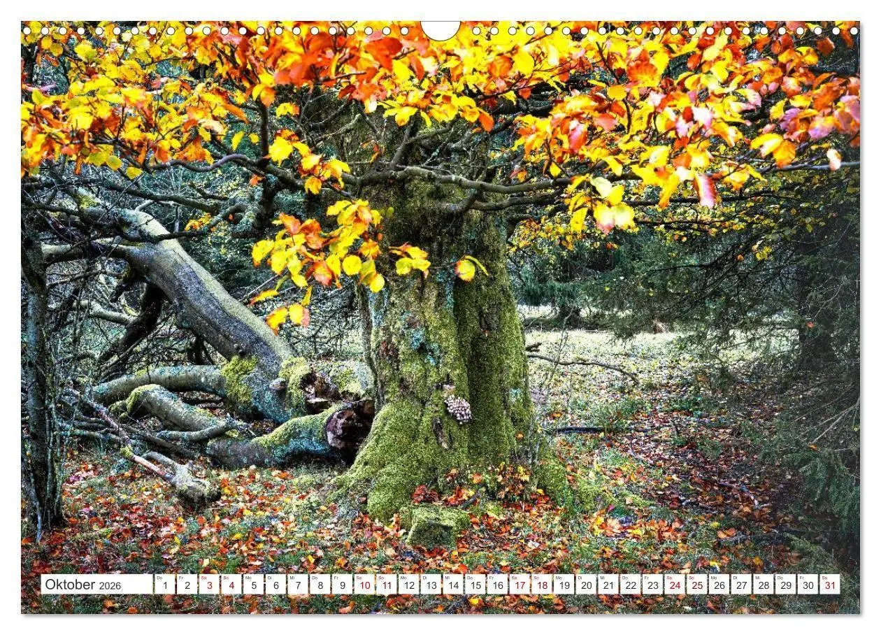 Bild: 9783516667042 | Die RHÖN: Faszinierende Berge und lebendige Bäche (Wandkalender...