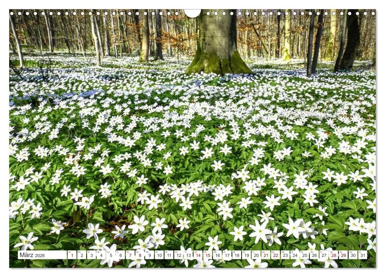 Bild: 9783516667042 | Die RHÖN: Faszinierende Berge und lebendige Bäche (Wandkalender...