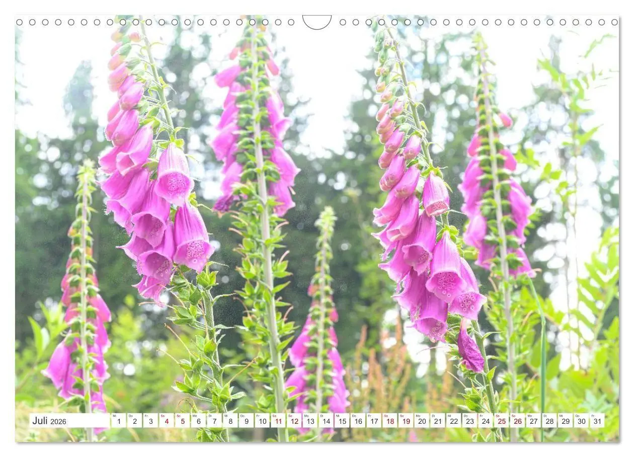 Bild: 9783516667042 | Die RHÖN: Faszinierende Berge und lebendige Bäche (Wandkalender...