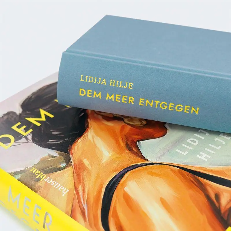 Bild: 9783446287242 | Dem Meer entgegen | Roman | Lidija Hilje | Buch | 400 S. | Deutsch