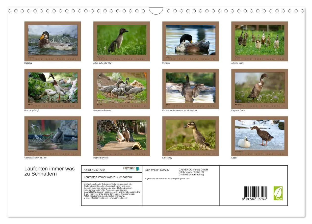 Bild: 9783516027242 | Laufenten immer was zu Schnattern (Wandkalender 2026 DIN A3 quer),...