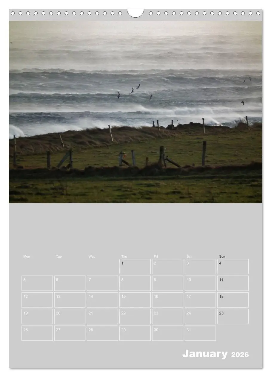Bild: 9783516577242 | Orkney: A land with a view (Wall Calendar 2026 DIN A3 portrait),...