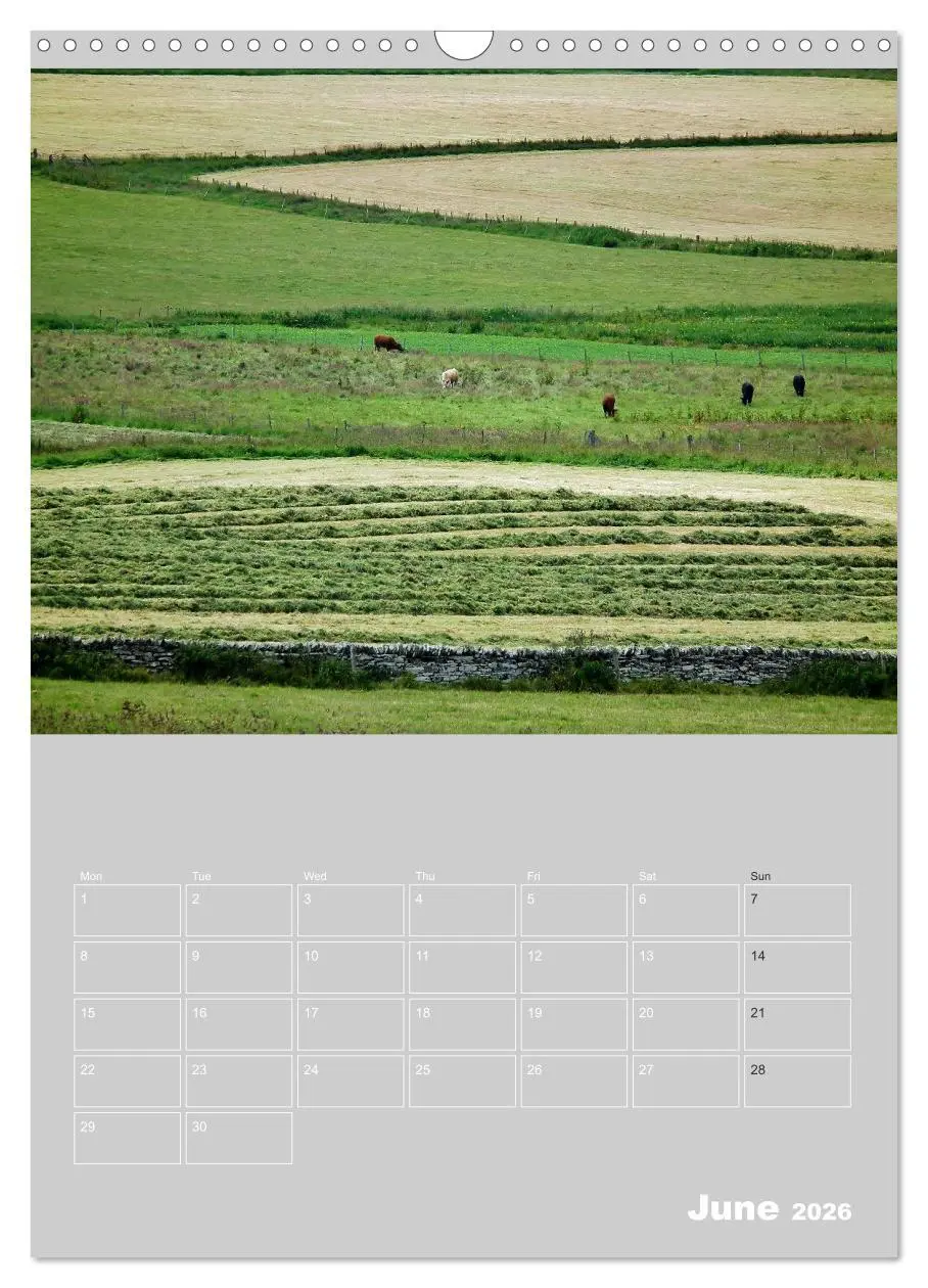 Bild: 9783516577242 | Orkney: A land with a view (Wall Calendar 2026 DIN A3 portrait),...