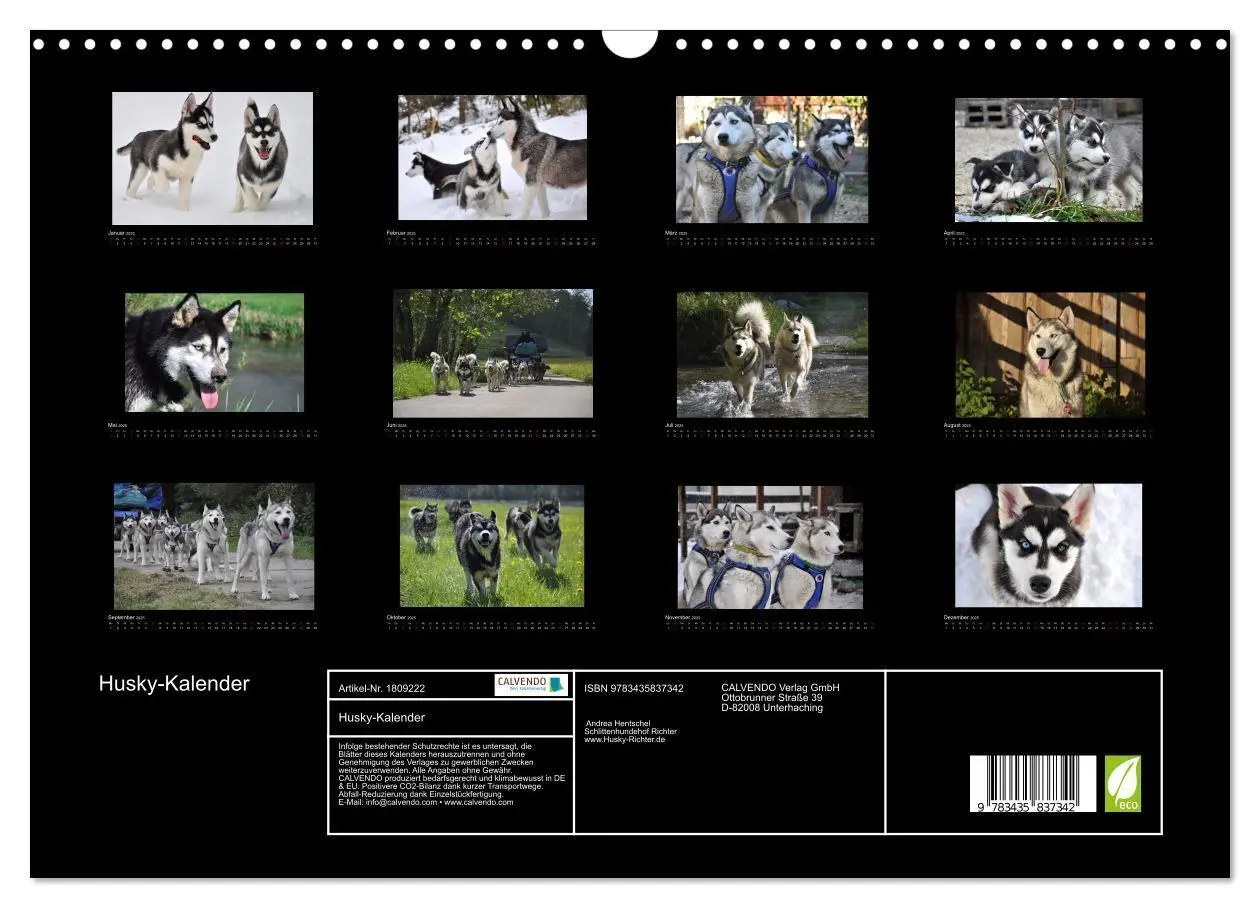 Bild: 9783435837342 | Husky-Kalender (Wandkalender 2025 DIN A3 quer), CALVENDO...