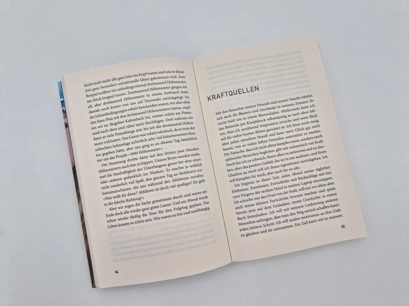 Bild: 9783492407342 | Sturz in die Tiefe | Gela Allmann | Taschenbuch | 304 S. | Deutsch