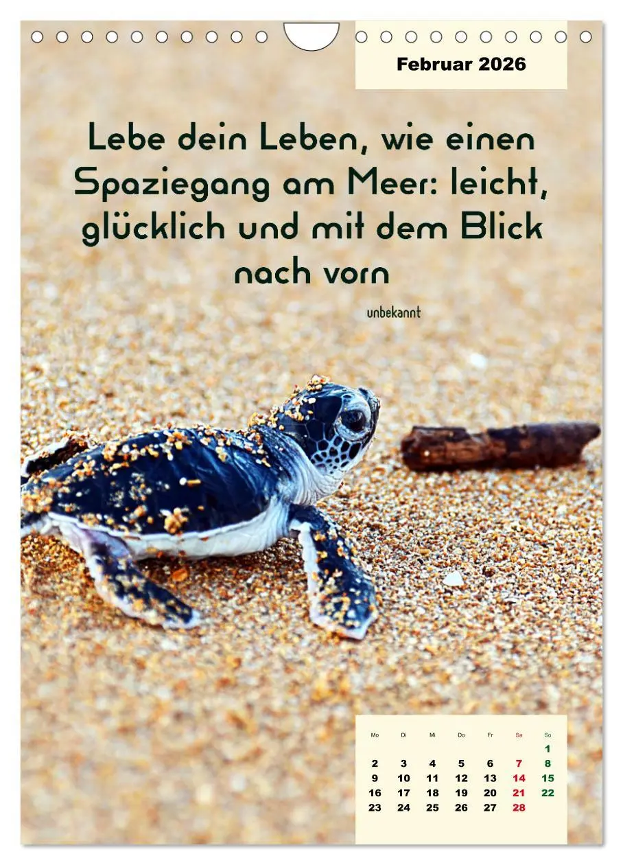 Bild: 9783516327342 | Verrückt nach MEER - Wellen - Strand - Zitate (Wandkalender 2026...