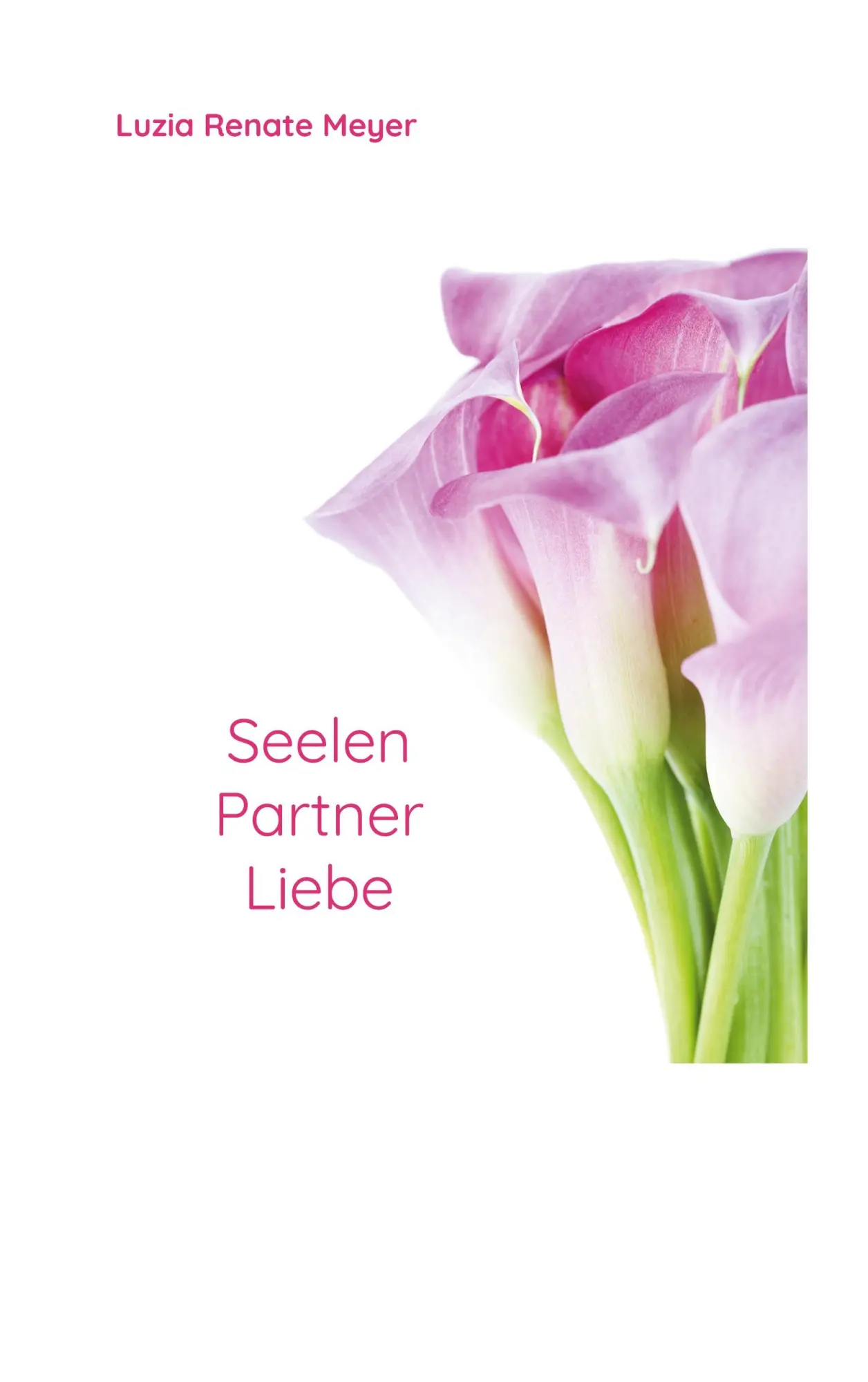 Cover: 9783756837342 | SeelenPartnerLiebe | Luzia Renate Meyer | Taschenbuch | 172 S. | 2022
