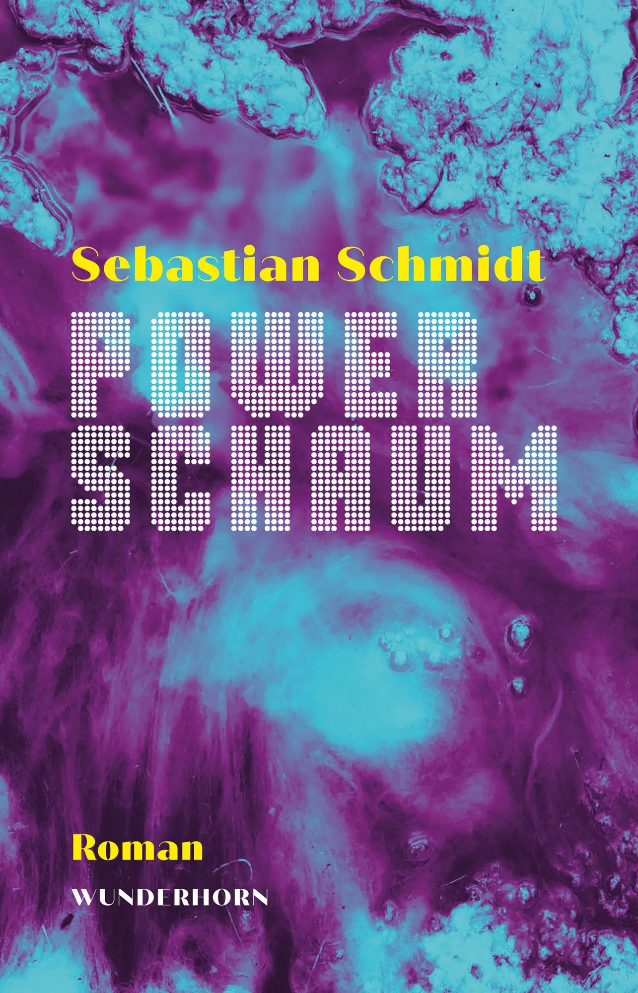 Cover: 9783884237342 | Powerschaum | Sebastian Schmidt | Buch | 224 S. | Deutsch | 2025
