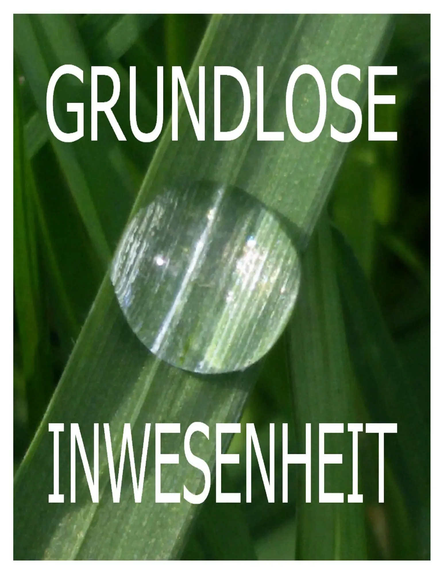 Grundlose Inwesenheit: 22 Ekstatische Essays 1992-2015