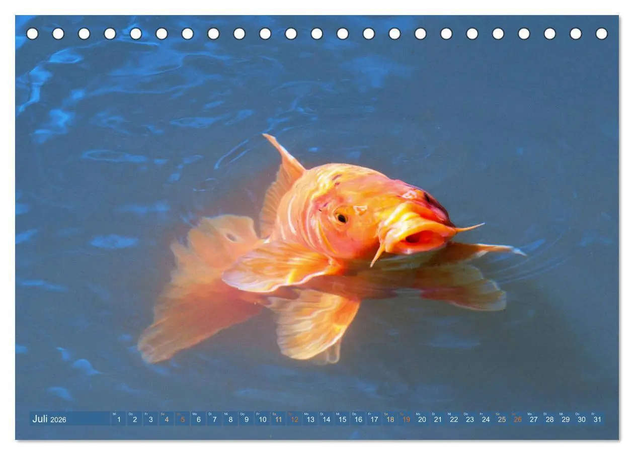 Bild: 9783457697542 | Koi: Juwelen im Teich (Tischkalender 2026 DIN A5 quer), CALVENDO...